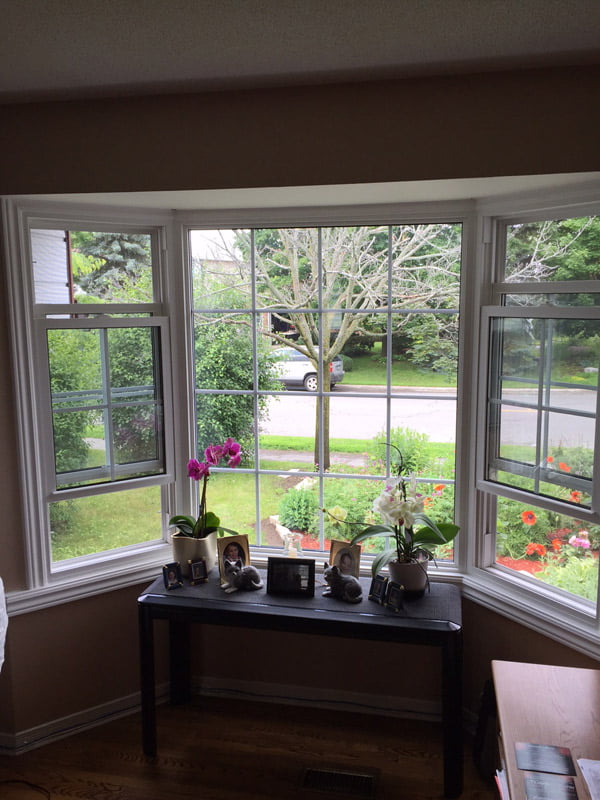 window companies kanata