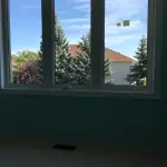 Three-panel white-framed window overlooking trees and house