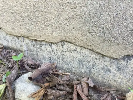 foundation maintenance parge