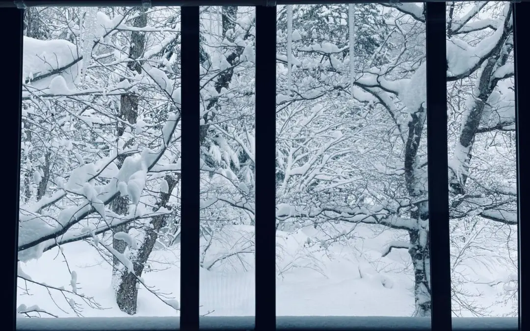 New Windows In Winter?