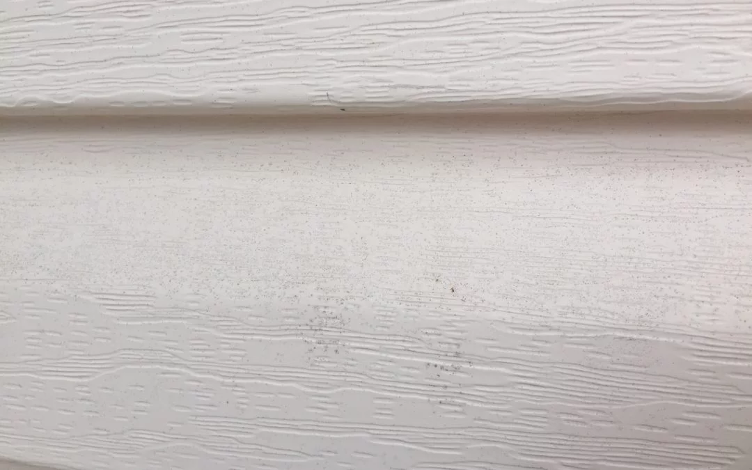 Summer Maintenance of Vinyl Siding