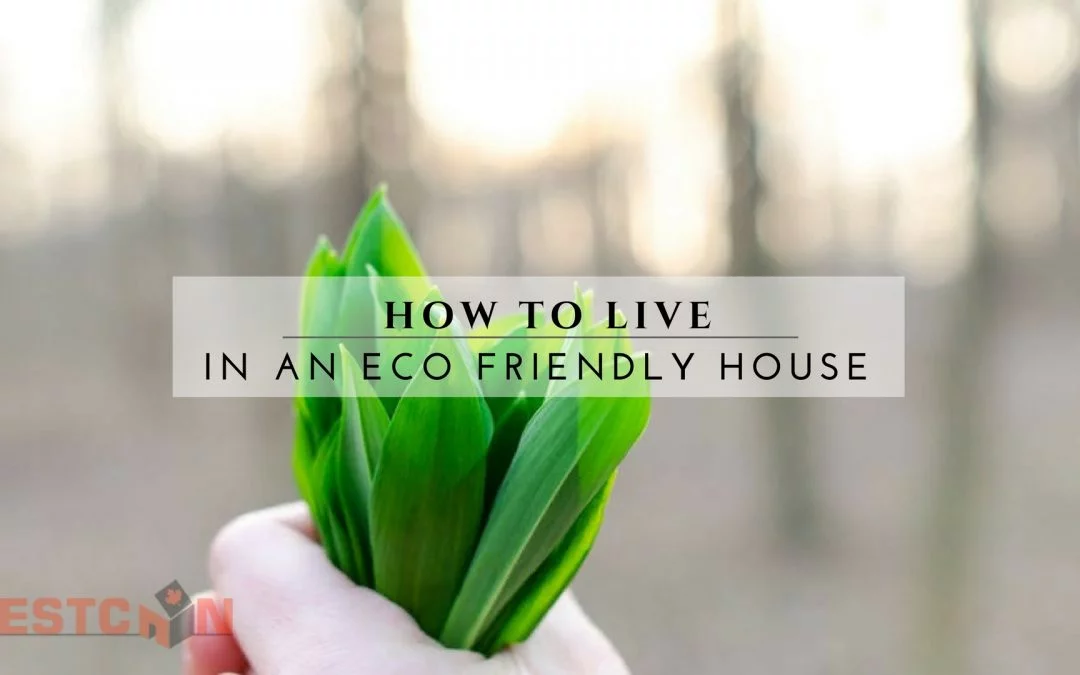 How to Live In An Eco Friendly House